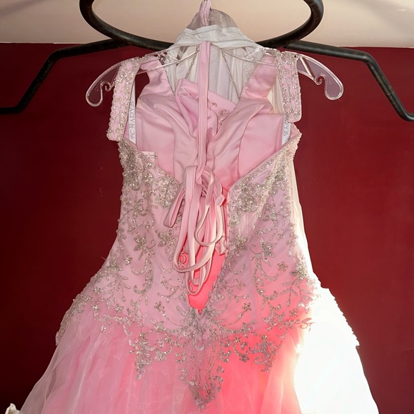 PC Mary’s Pink Princess Dress - Picture 5 of 7